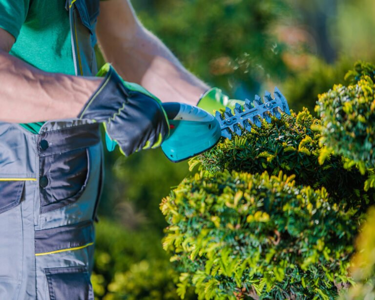 Gardener cutting a bush Garden & Landscaping Services Outstandign Outcome Algarve