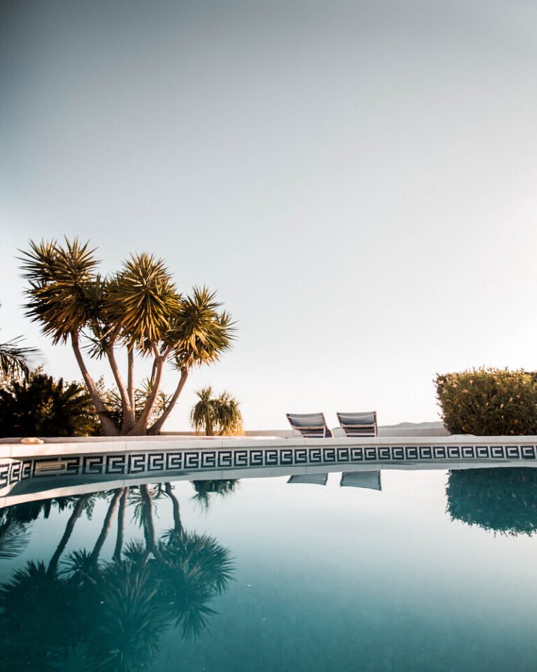 A scenic pool with palm trees in the background